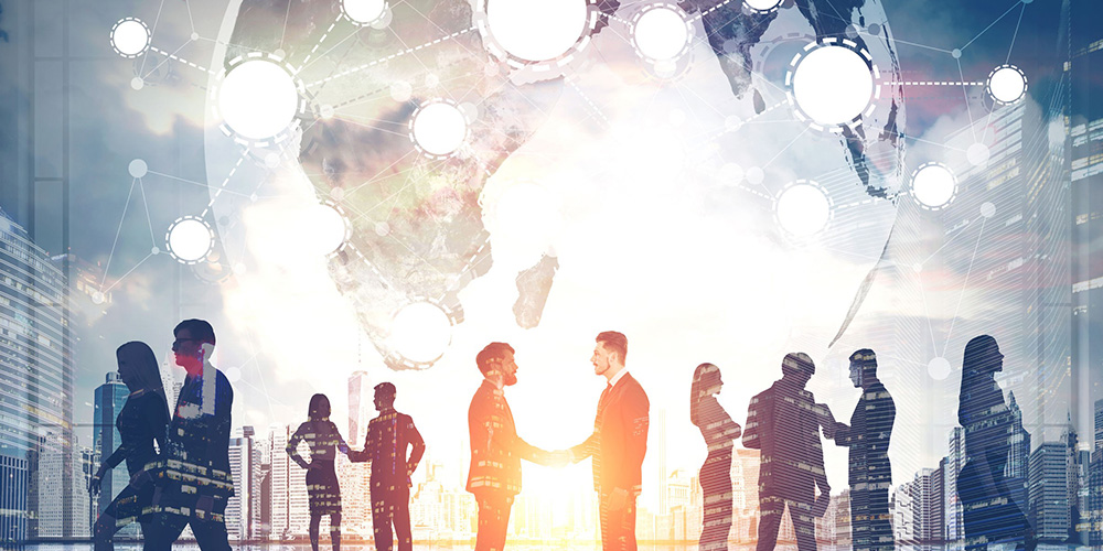 Internship and professional partnership